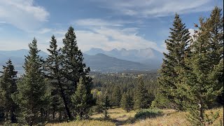 Two bear encounters on two different trails, on the same day!