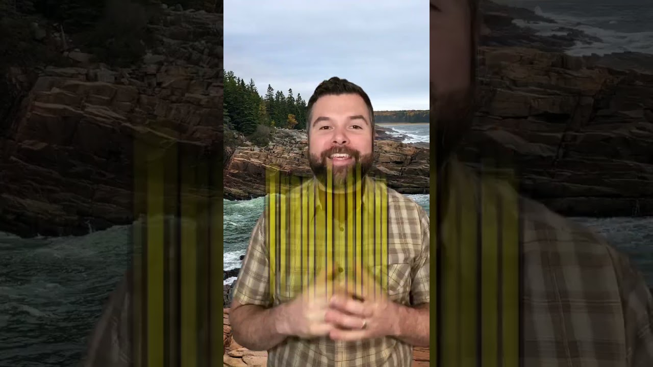 Translating People From Maine🤣