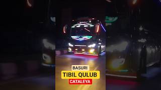 Tibil Qulub Versi Cataleya basuri cataleya dewisri storybus fyp