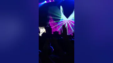 Wiz Khalifa - Elevated live @ Exit festival 2016