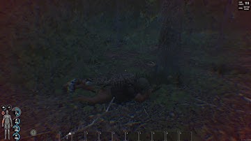 SCUM Cheater (Invisible)