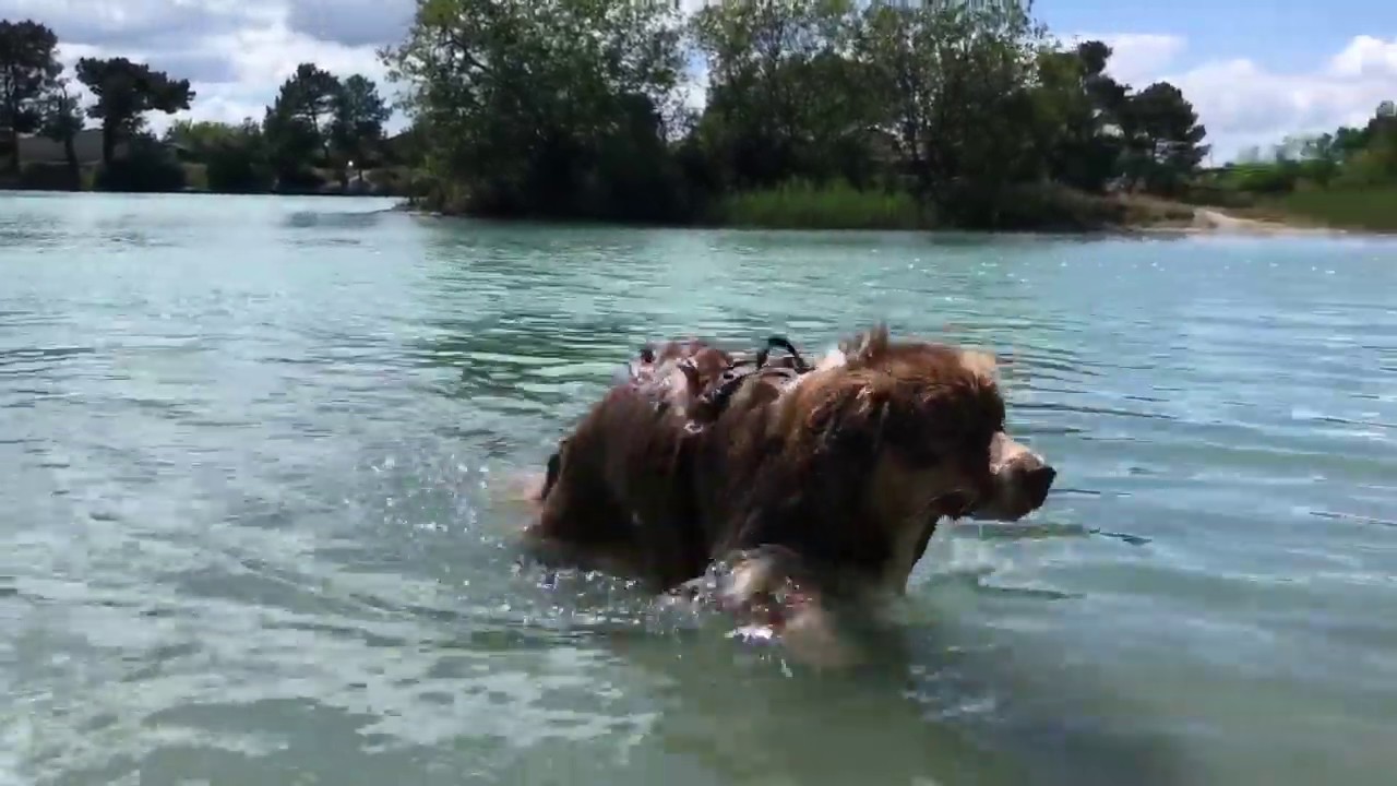 Randonnée Pian-médoc