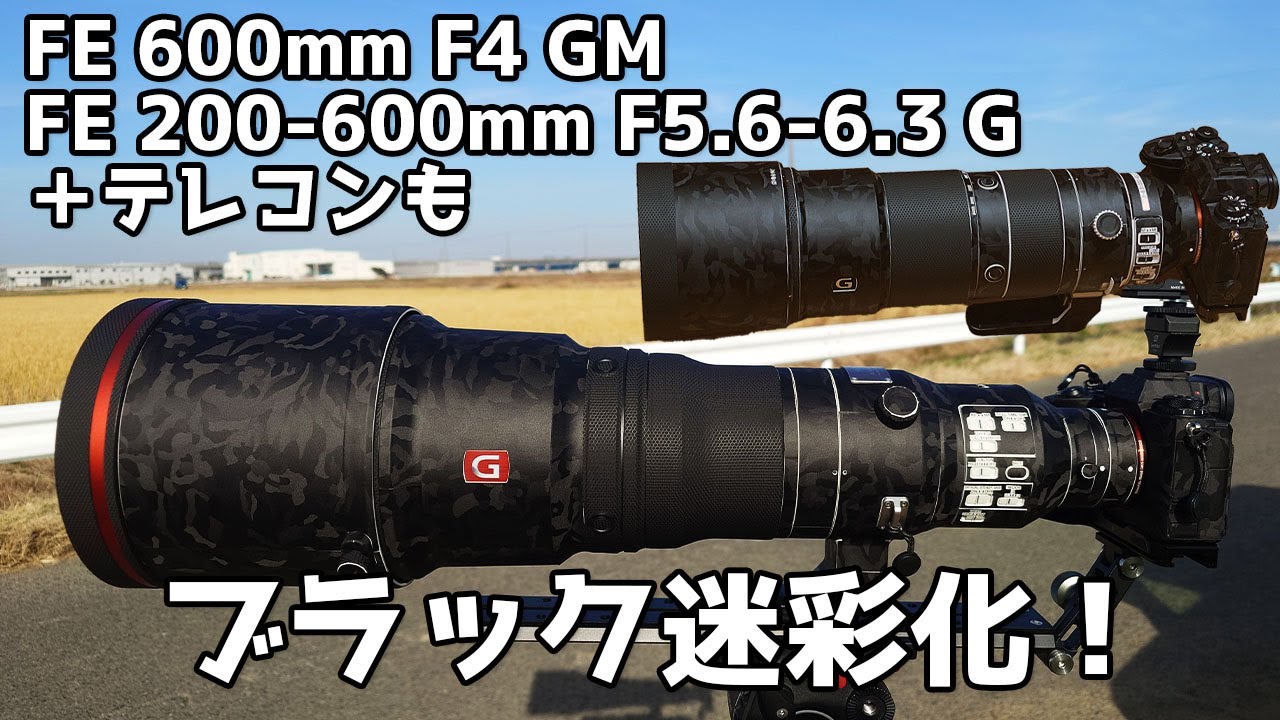 SONY FE 200-600mm F5.6-6.3 G OSSとFE 600mm F4 GM OSSとテレコンに