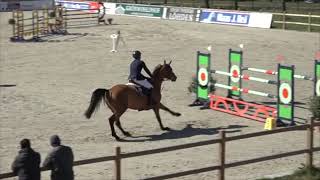 Josch Löhden - Egelunds Miss Unique - Westergellersen 2022