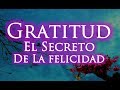 LA GRATITUD, EL SECRETO DE LA FELICIDAD | Gratitud, Frases, Reflexiones,  Agradecimiento, Reflexión