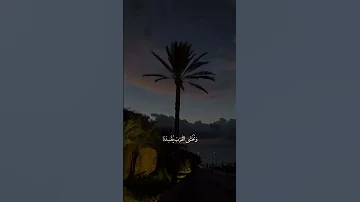 ن سير م ع الحياة أنس البرقي 