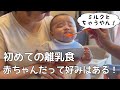 【生後5ヶ月】離乳食デビュー！人生初の米食の反応は？