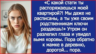 видео: Муж хотел поселить родню в мою квартиру, а оказался в коровнике в мамы. картинка: Муж хотел поселить родню в мою квартиру, а оказался в коровнике в мамы.