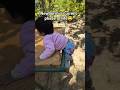 Newborn vs now difference laughing baby cute baby #shorts #explore #bome #trendingshorts