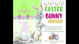 Easter Bunny Photos 2022