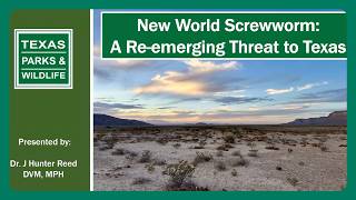 New World Screwworm Webinar: A Re-emerging Threat to Texas