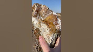 Sexy Thunder Egg! #rockhounding #shorts #agate #thundereggs #oregon #polkadotagatemine