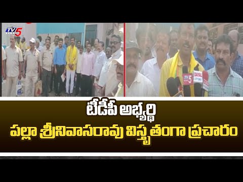 Gajuwaka TDP MLA Candidate Palla Srinivasa Rao Election Campaign | AP Elections 2024 | TV5 News - TV5NEWS