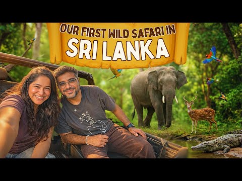 We Saw This in the WILD 🐘🦌🐅🐆| Jungle Safari in Sri Lanka 🇱🇰