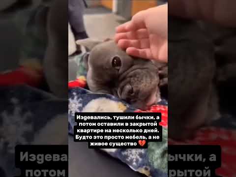 Этого бедолагу изъяли из маргинальной семьи ...