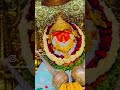 दिव्य दर्शन श्री बागेश्वर धाम सरकार  #divyadarsh