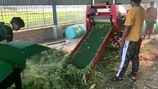 साइलेज बनाउने मेशिन कति पर्छ? हेर्नुस Video । SILAGE machine in Nepal