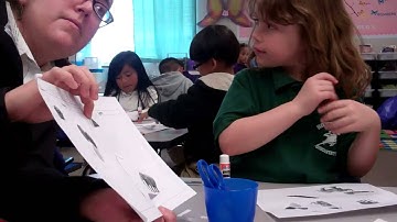 Accountable Talk Explicitly Teaching and Modeling