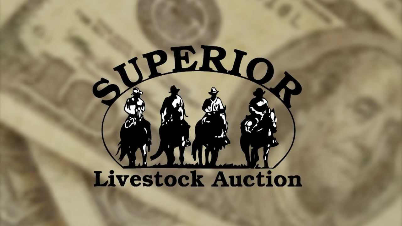 NCBA Profit Simplified Panel with Superior Livestock