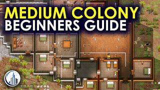 This Is A Successful Medium-Sized Colony | RimWorld Ultimate Beginners Guide