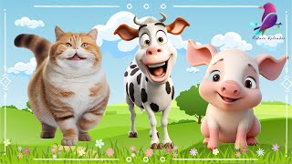 Cute Little Farm Animal Sounds - Cat, Fox, Kitten, Cow, Pig, Eagle - Music For Relax