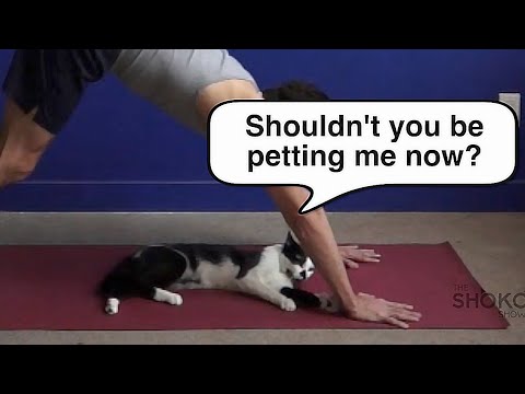 Yoga With Humans