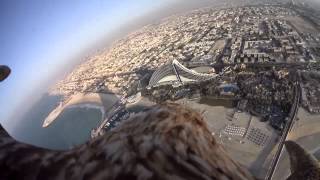 Полет орла над Дубаи
