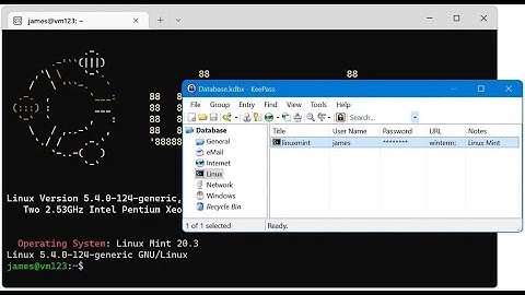 Windows Terminal SSH connection launch from KeePass