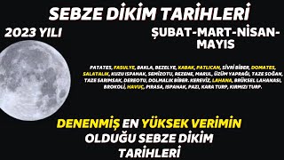 bu tarihleri kaçırmayın I ay takvimine göre en verimli sebze dikim zamanları 2023 yılı Resimi