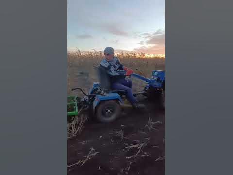 МОТОБЛОК С КУЛЬТИВАТОРОМ В РАБОТЕ / WORKING WITH THE CULTIVATOR #shorts ...