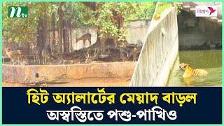 হিট অ্যালার্টের মেয়াদ বাড়ল, অস্বস্তিতে পশু-পাখিও | Weather | NTV News