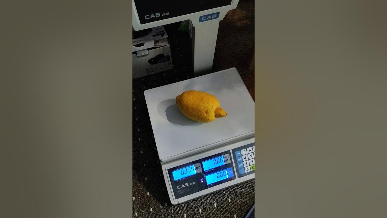 хаги ваги упаковка. ваги ваги поезд пожиратель. весы с подключением к компьютеру.