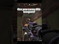 Guess the Weapon! – Arena Breakout Mobile