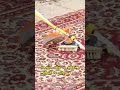 creative idea to make a brush to clean carpets #shorts #usa