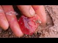 Huge ruby, found at the foot of the volcano. Perfectly Digging for Diamonds