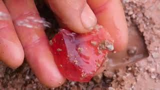 Huge ruby, found at the foot of the volcano. Perfectly Digging for Diamonds