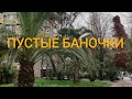 ПУСТЫЕ БАНОЧКИ МАРТ-АПРЕЛЬ