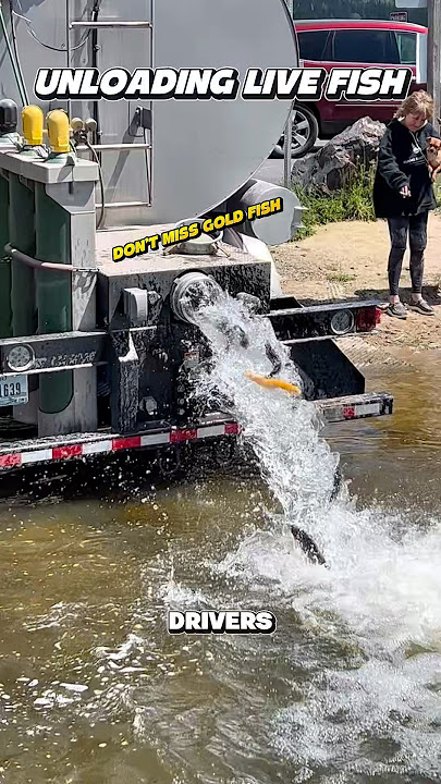 Do truck drivers transporting live fish have the same DOT hours of service exemptions as livestock?