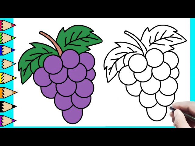 Hand Drawing of Fresh Juicy Red Grapes #1 Drawing by Iam Nee - Pixels