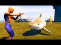 Spider Man Shoots Sharks From Gun Funny Ragdoll Chaos Spider Man Shoots Sharks From Gun Funny Ragdoll Chaos