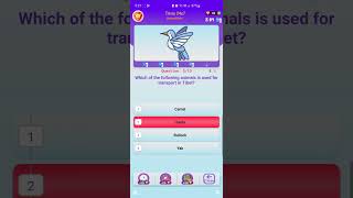 Quiz Hunt - Knowledge Booster