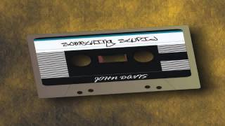 SOMETHING STUPID - JOHN DAVIS