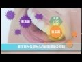 日本L-8020 10ml*22入 乳酸菌漱口水隨身包-清新薄荷 二入組 product youtube thumbnail