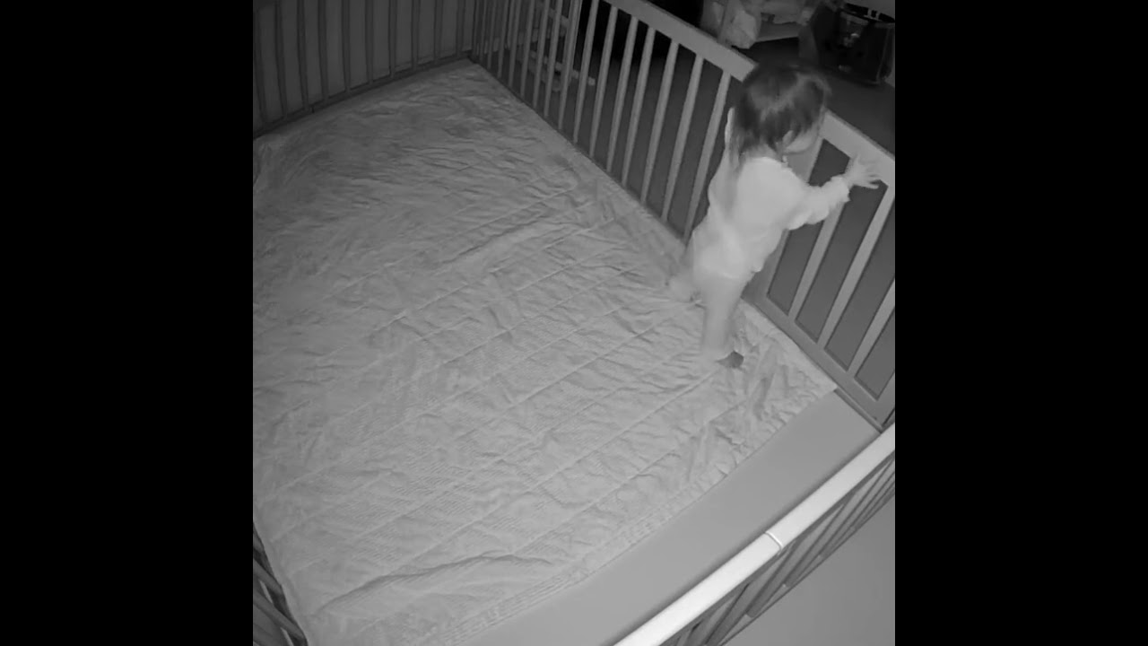 387일 엘이의 기상일과 (배통통,바지벗기)