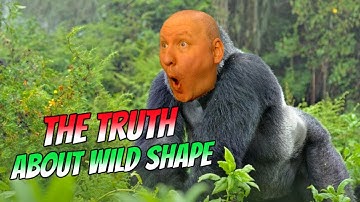 Wild Shape in Dnd 5.5 2024