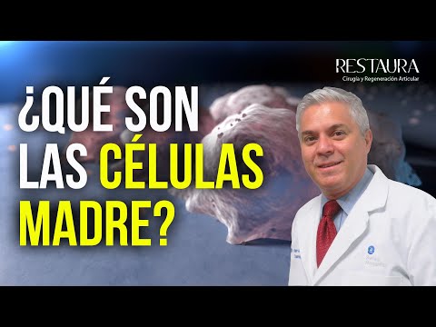 Vídeo: Análisis Comparativo De La Respuesta De Las Células Progenitoras De Células Madre Mesenquimales Y Del Tendón Embrionario A Factores Bioquímicos Y Mecánicos Del Tendón Embrionario