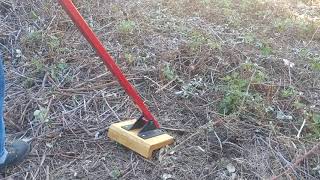 Removing Blackberrys with the Honeysuckle Popper