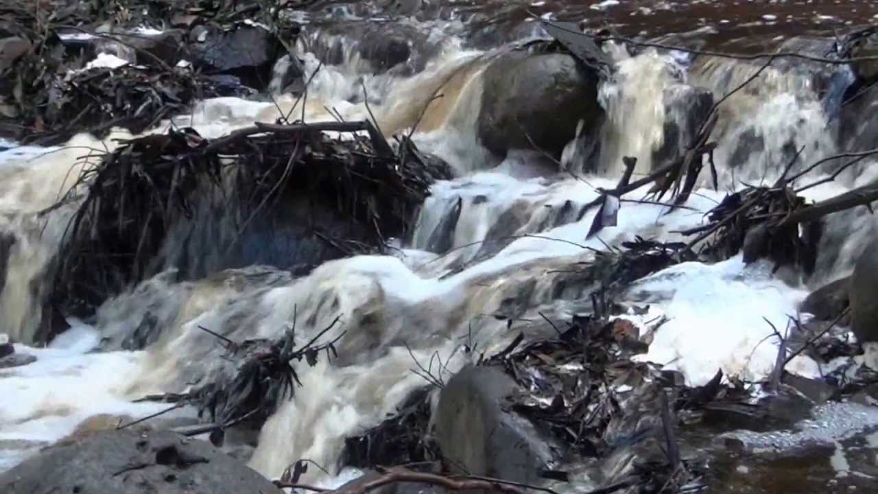 Prinseskasteel River Tokai Plantation - Sony DEV 5 - Filmed by Greg Morgan