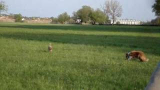 20100422_jive.wmv