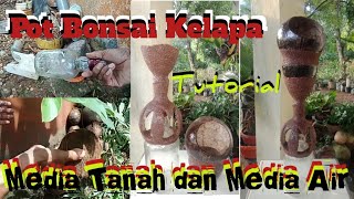 #CoconutBonsai #Bonsaikelapa Tutorial Cara Membuat Pot Bonsai Kelapa Dua Media